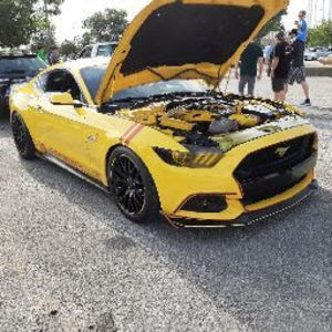 Meet your Posher, Jackson